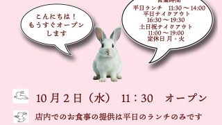 オープンチラシができあがりました。 | 跳ねうさぎ